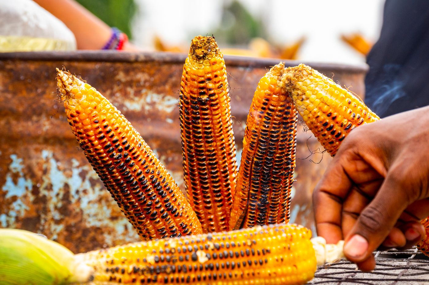 Deeply charred golden corn at a street-food grill